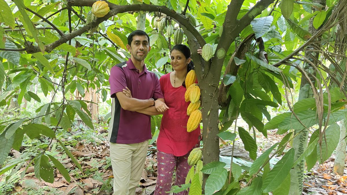 P.S. Balasubrahmanya of Anuttama Chocolate P.S. Balasubrahmanya of Anuttama Chocolate