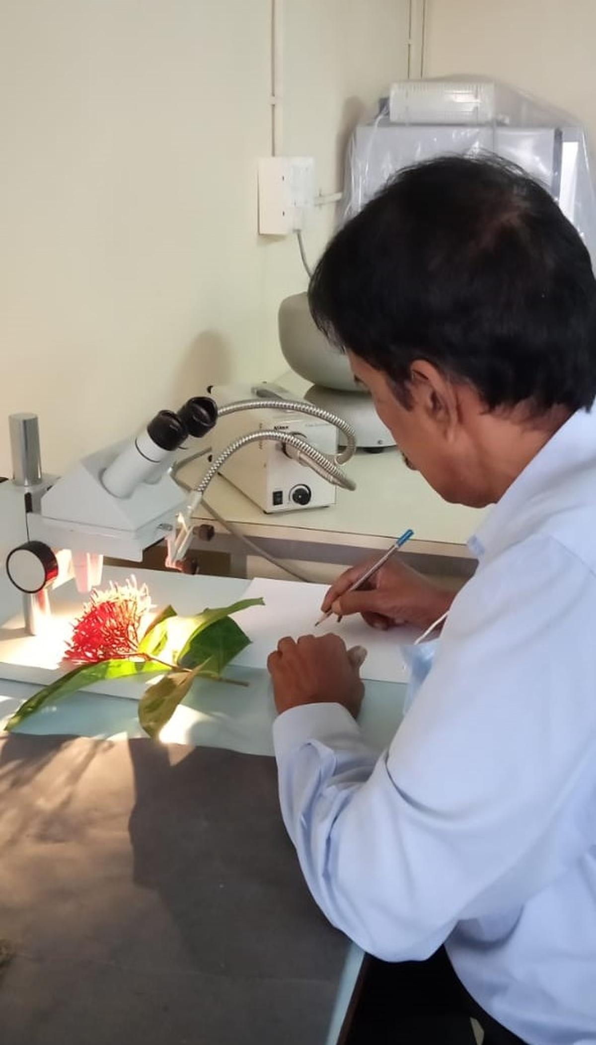 Suresh captures microscopic details, like ovary shape, stamen arrangement, or leaf venation while working under a microscope Suresh captures microscopic details, like ovary shape, stamen arrangement, or leaf venation while working under a microscope