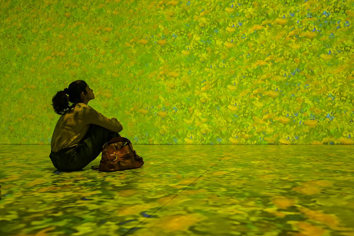 Vincent van Gogh Immersive Show in Mumbai: Dates, Tickets, Prices, van gogh  