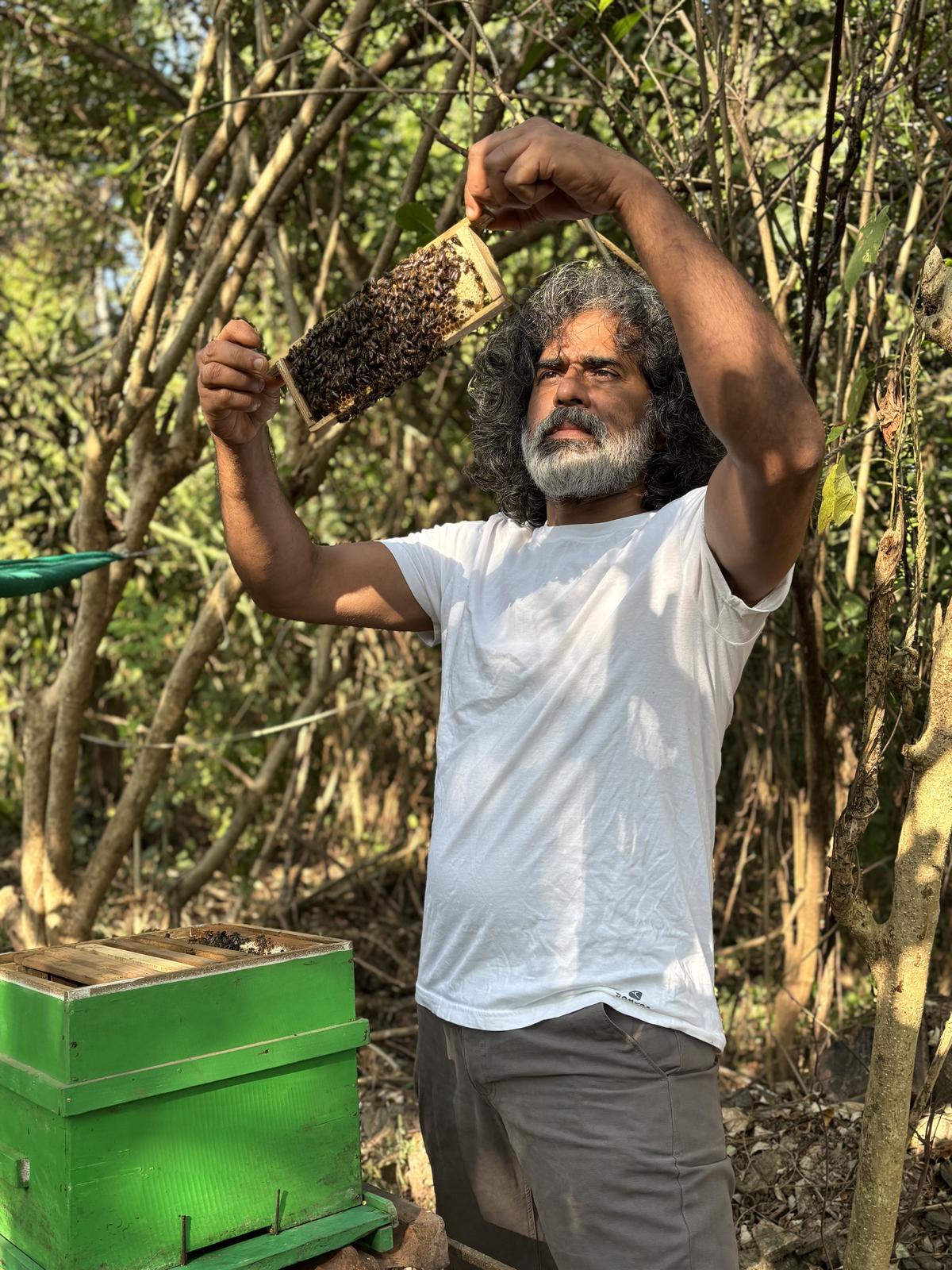 Peter Fernandes with his bee hives in Goa