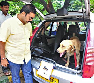 Paw Cabs: Here is another app-based taxi services to ferry your pet dogs  and cats - The Hindu