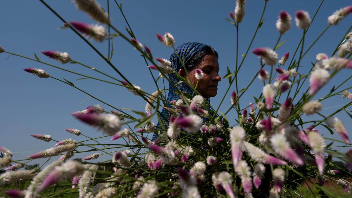 Power to the frame | CPB Photo Awards winners of 2024