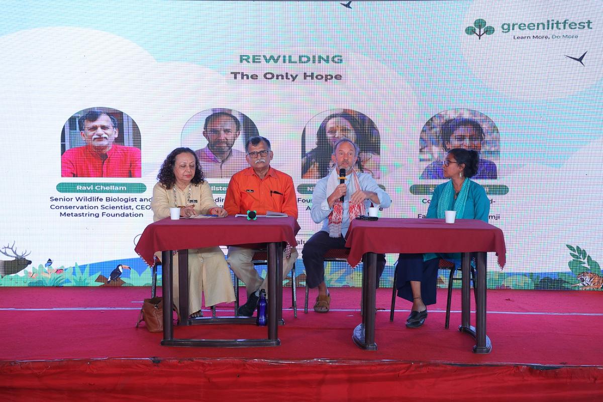 At a previous edition of the festival