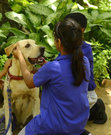 The love of a dog - The Hindu