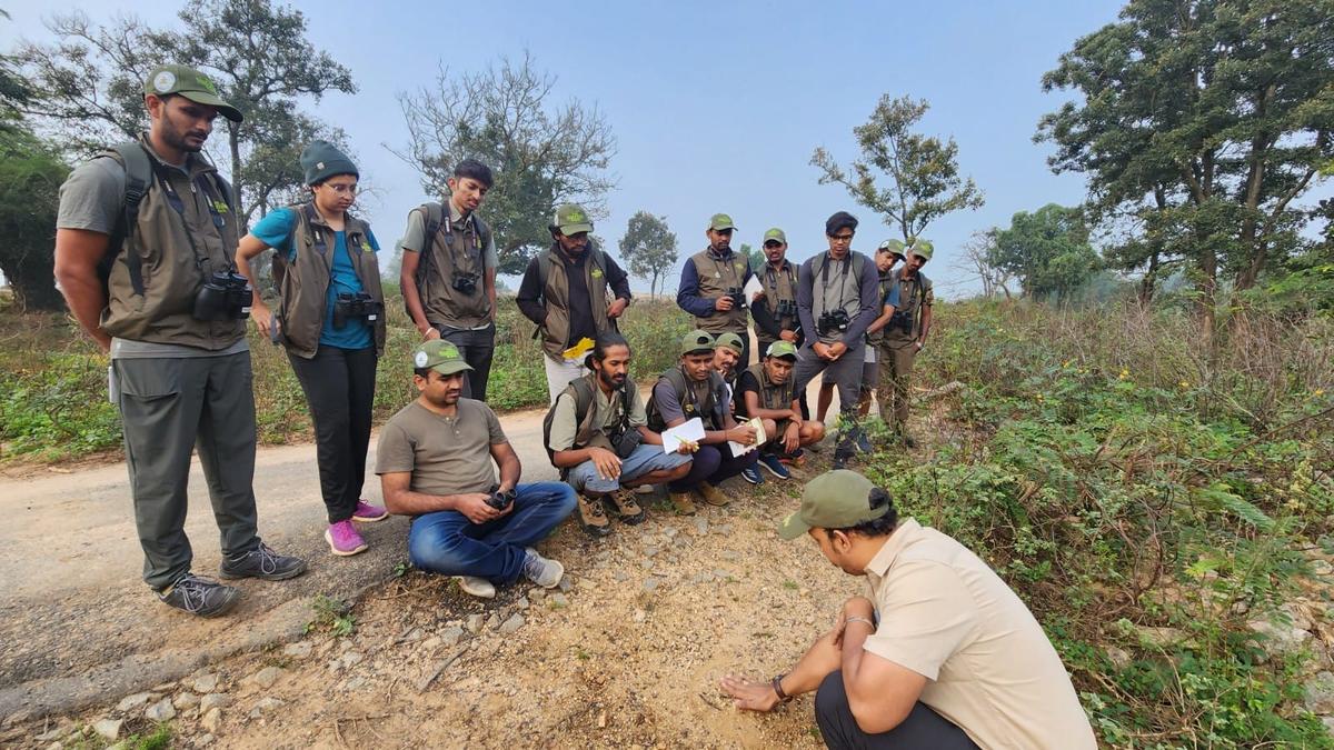 Education should be a vital aspect of wildlife tourism 