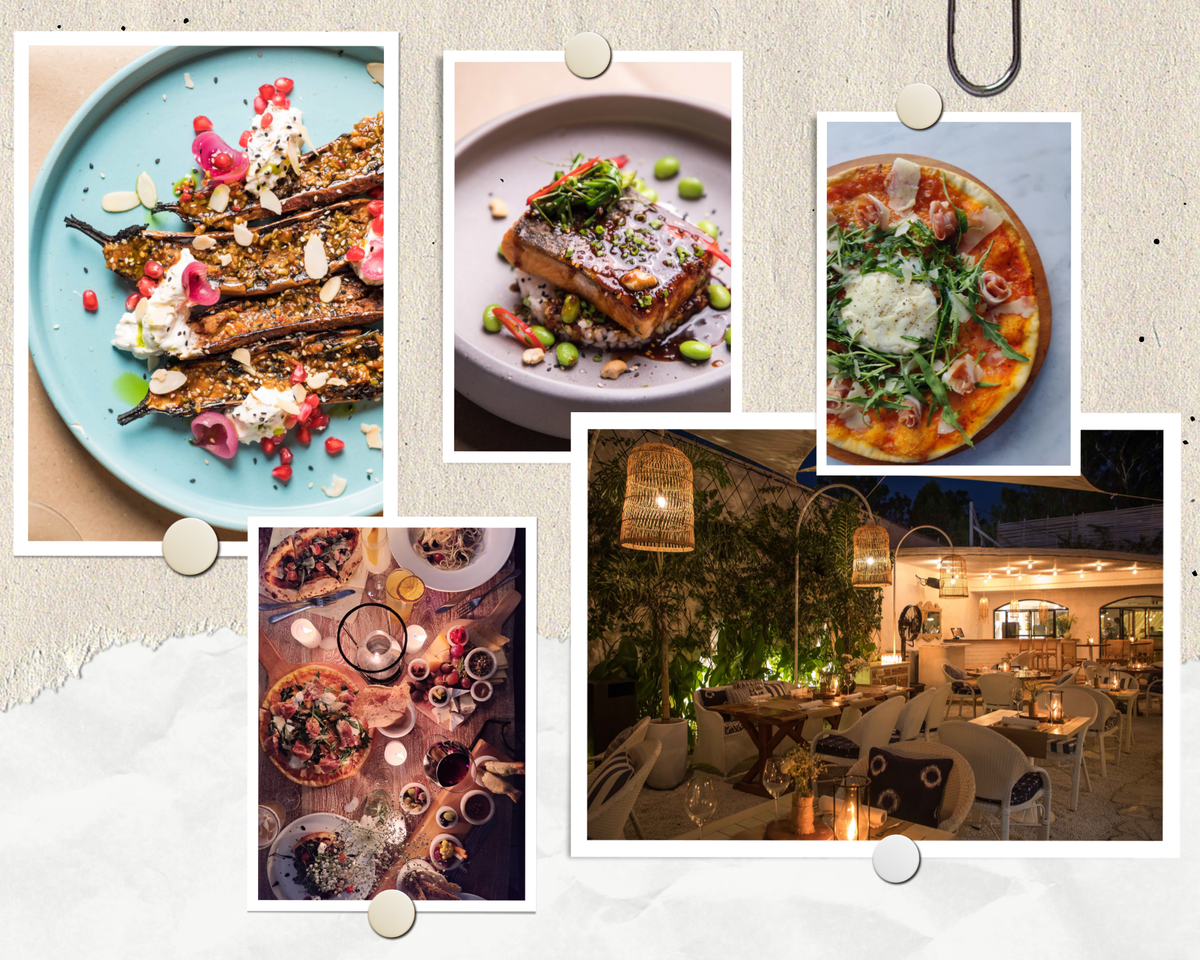 Clockwise from top left: Olive Chandigarh’s miso roasted eggplant, ginger salmon, Parma ham, a snap of the interior, and the community table