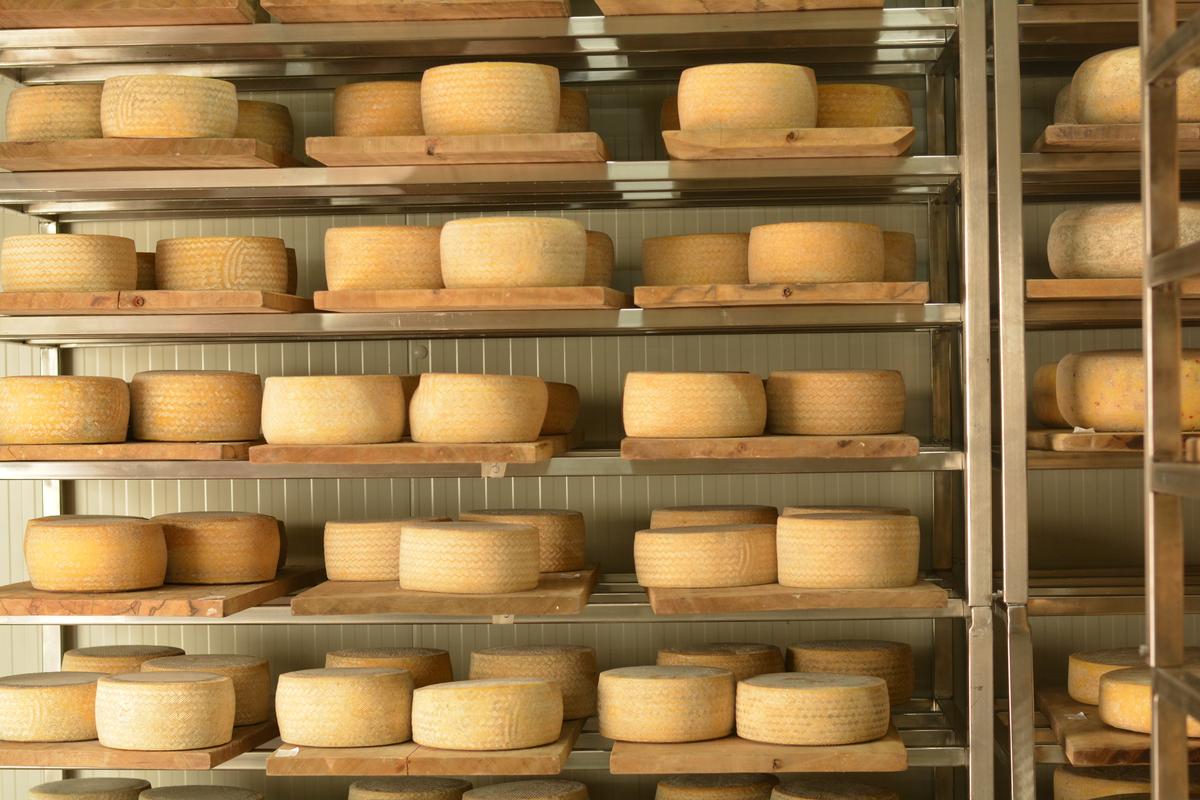 Begum Victoria Cheese Cave Begum Victoria Cheese Cave