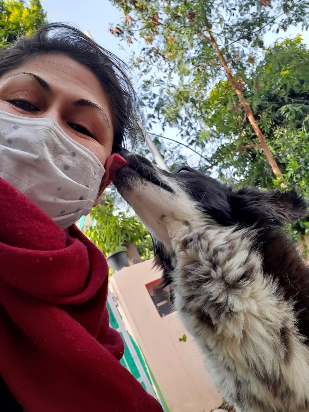 Pallavi Dar Pallavi Dar