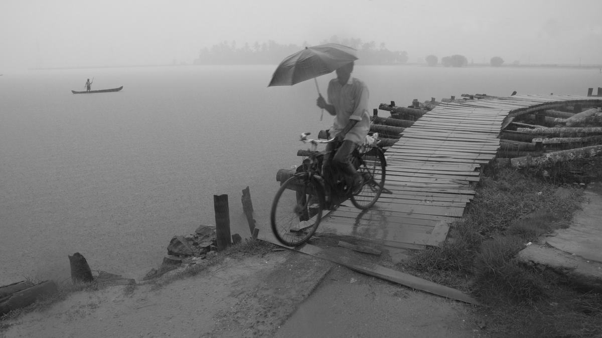 Kerala monsoon | A photojournalist’s cashew-scented memories