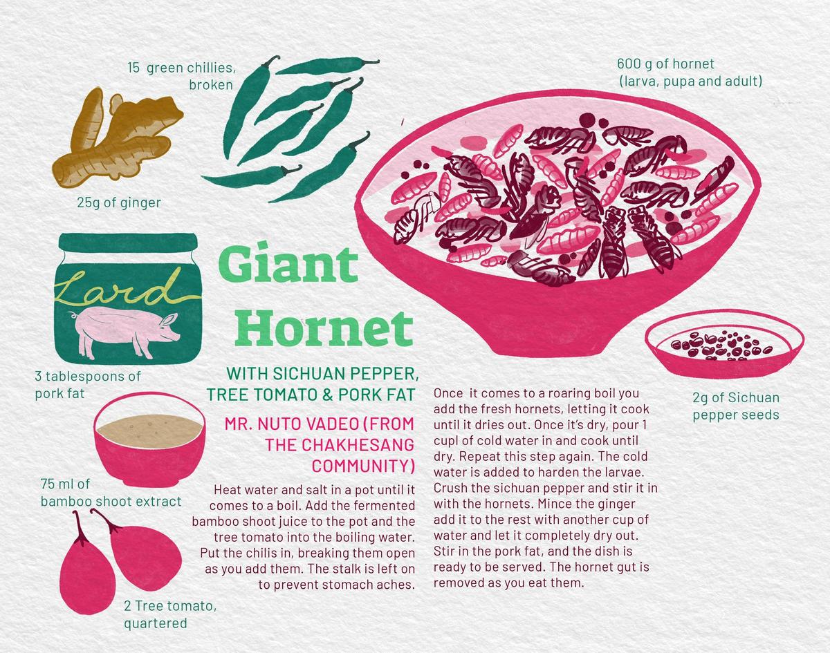 A recipe for giant hornets A recipe for giant hornets