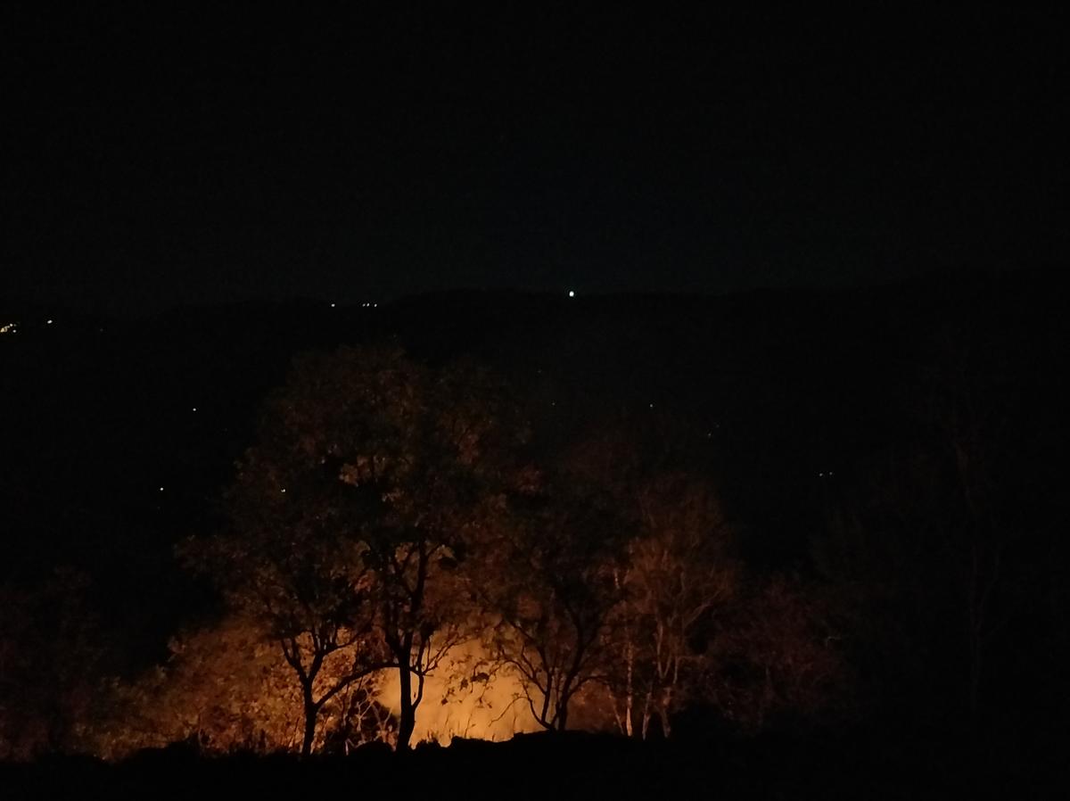 Forest fire raging near the farm Forest fire raging near the farm