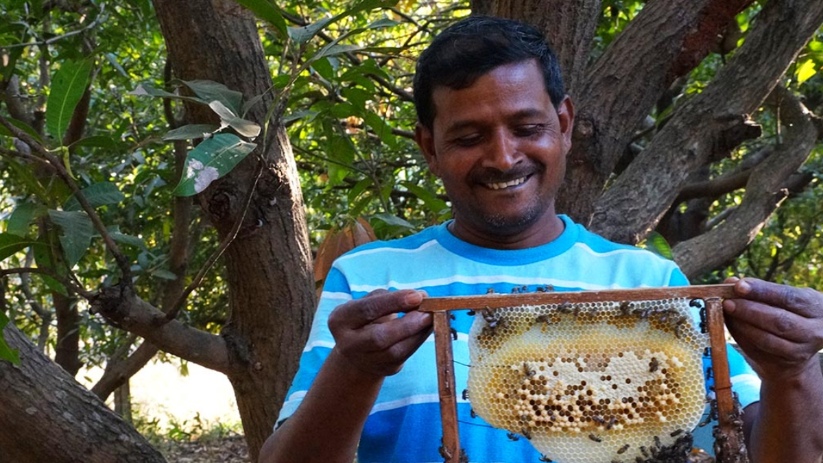 New year resolution for 2026: save India’s bees