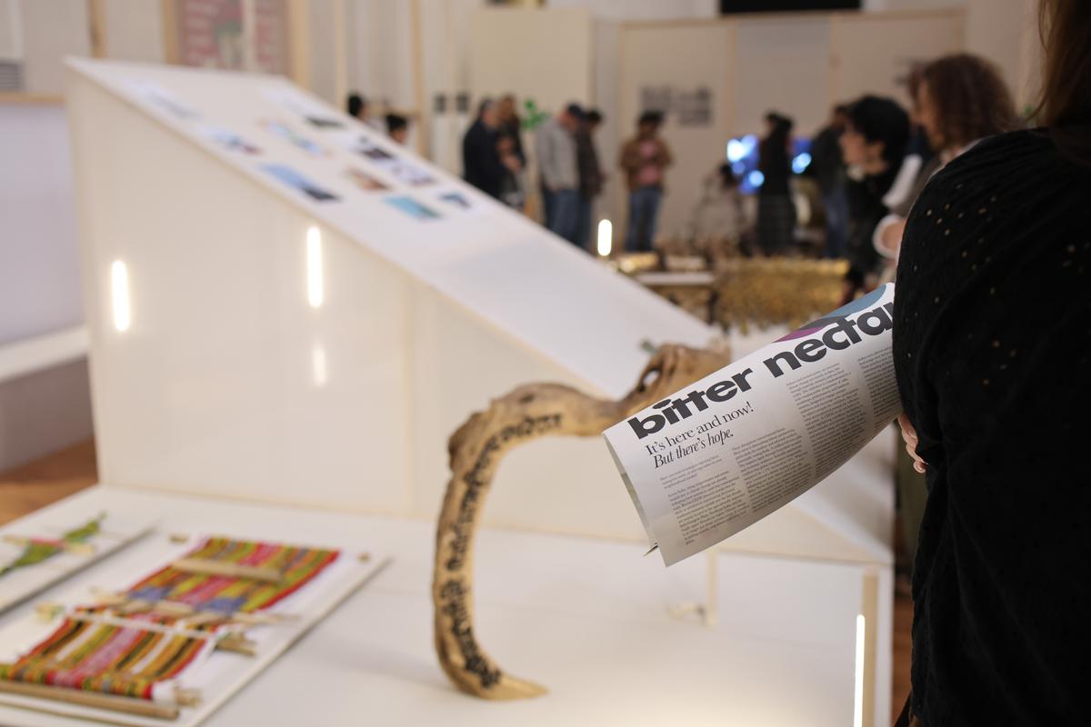 Un'installazione al Bitter Nectar