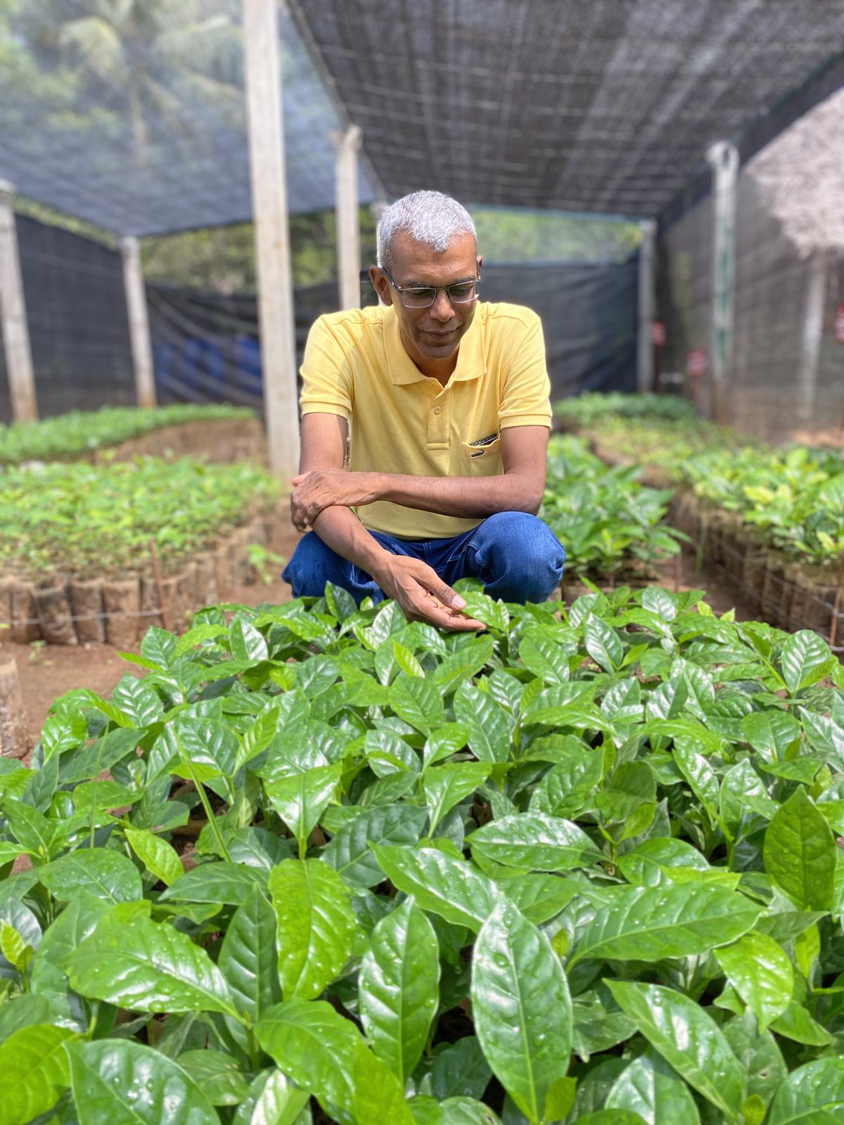 Mahesh with his speciality coffee saplings 