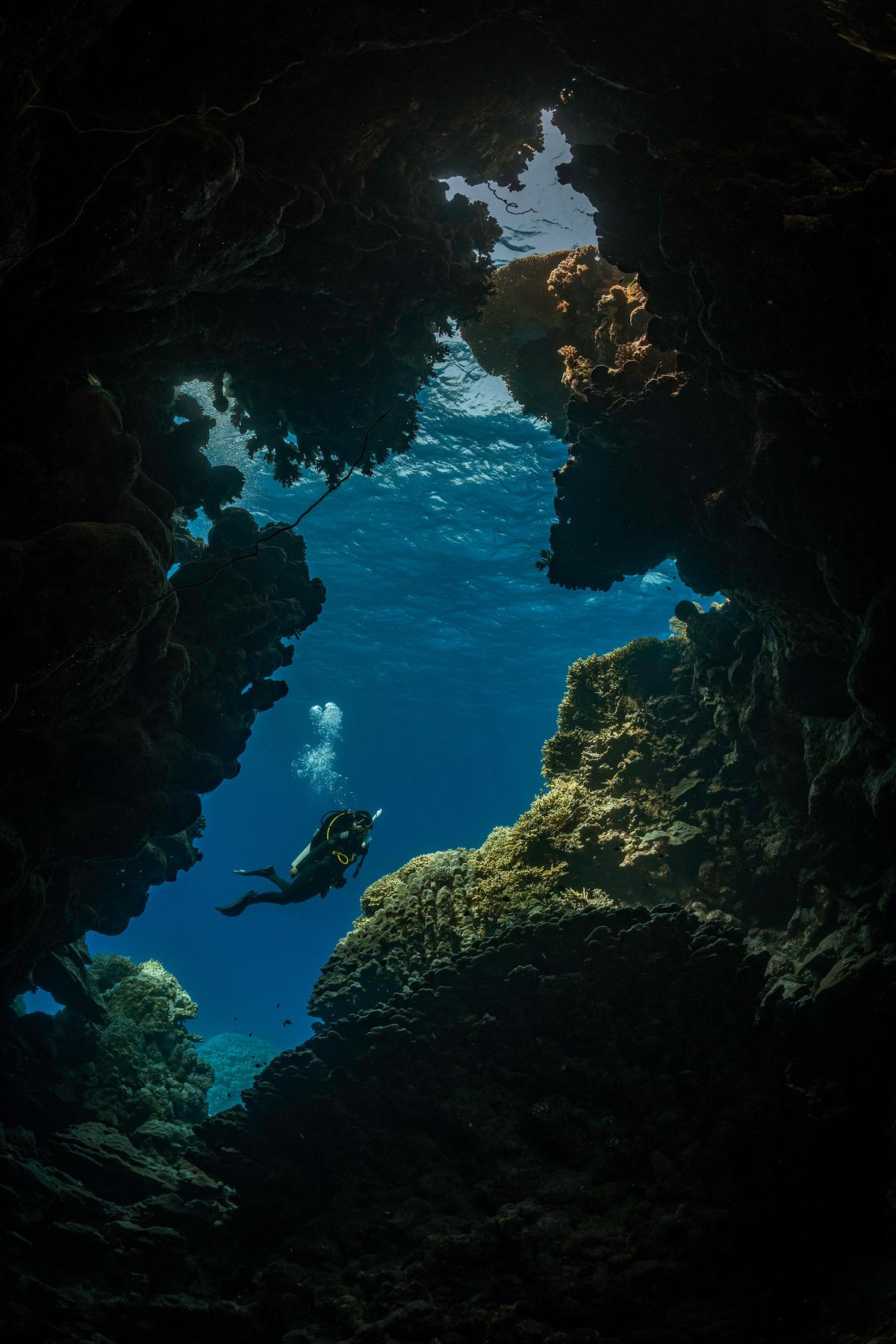 In India, PADI partners with certified dive operators in Goa, Andamans, Puducherry, and Lakshadweep
