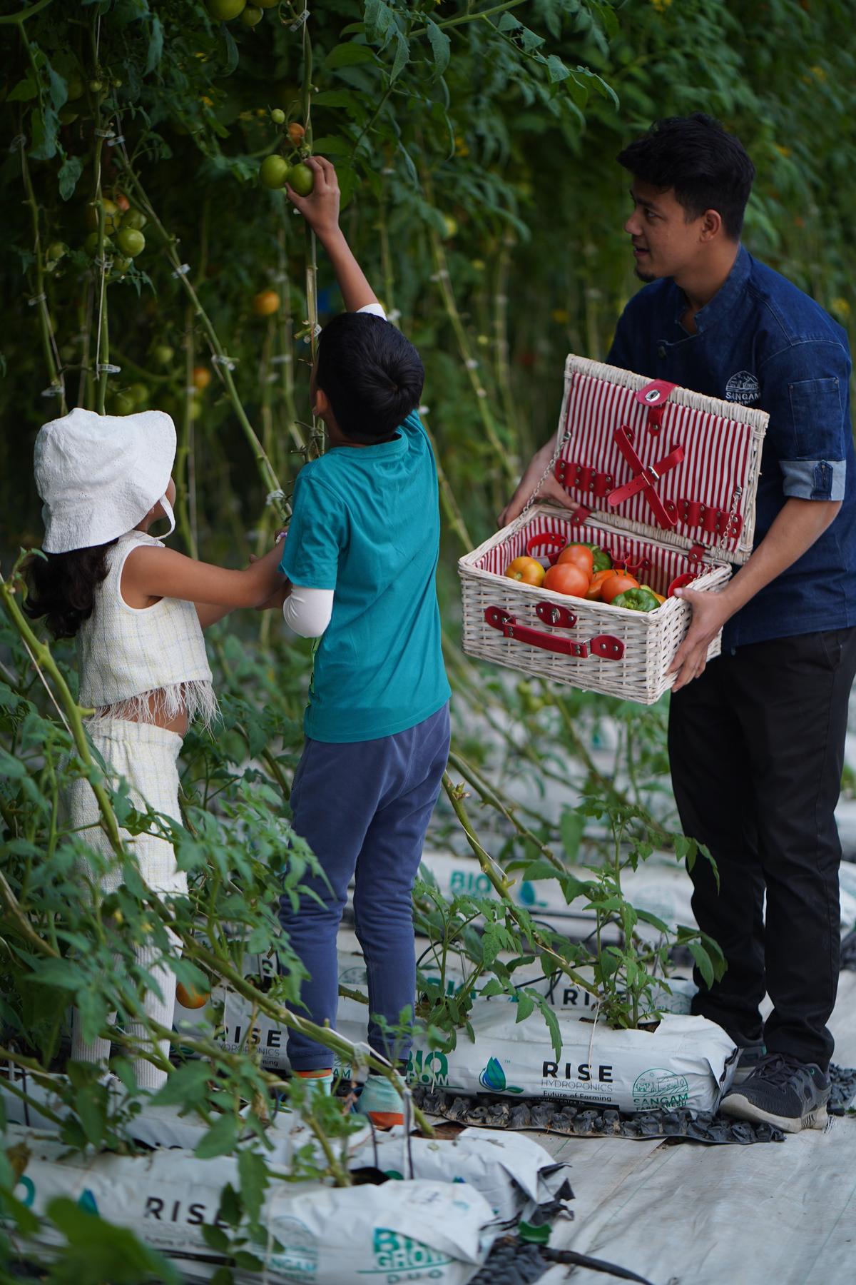 Children at Sangam Farms