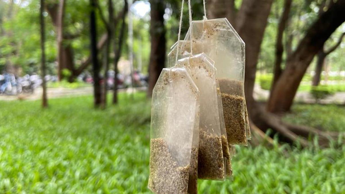 Zerocircle in Pune is creating bio-soluble packaging from seaweed