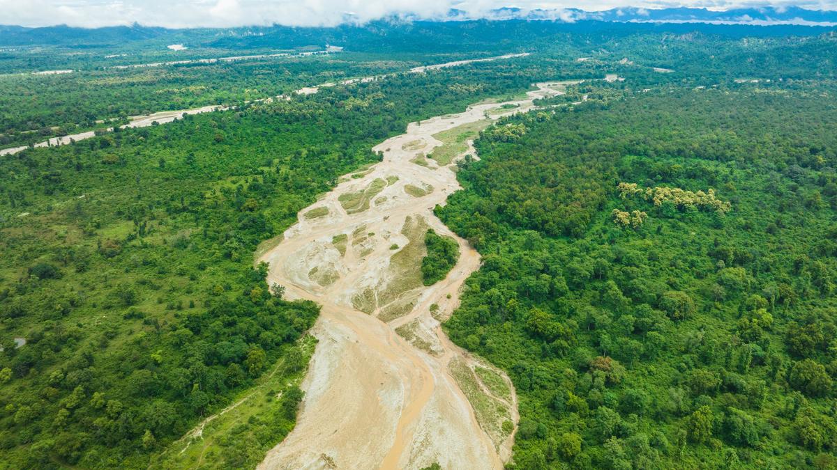 World Environment Day: Environmentalists Jai Dhar Gupta and Vijay Dhasmana create India’s first biosphere in a tiger reserve