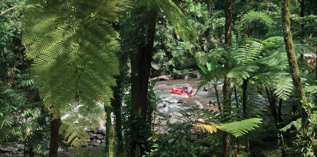 Bali beyond beaches: rituals, wellness and a more soulful way to travel