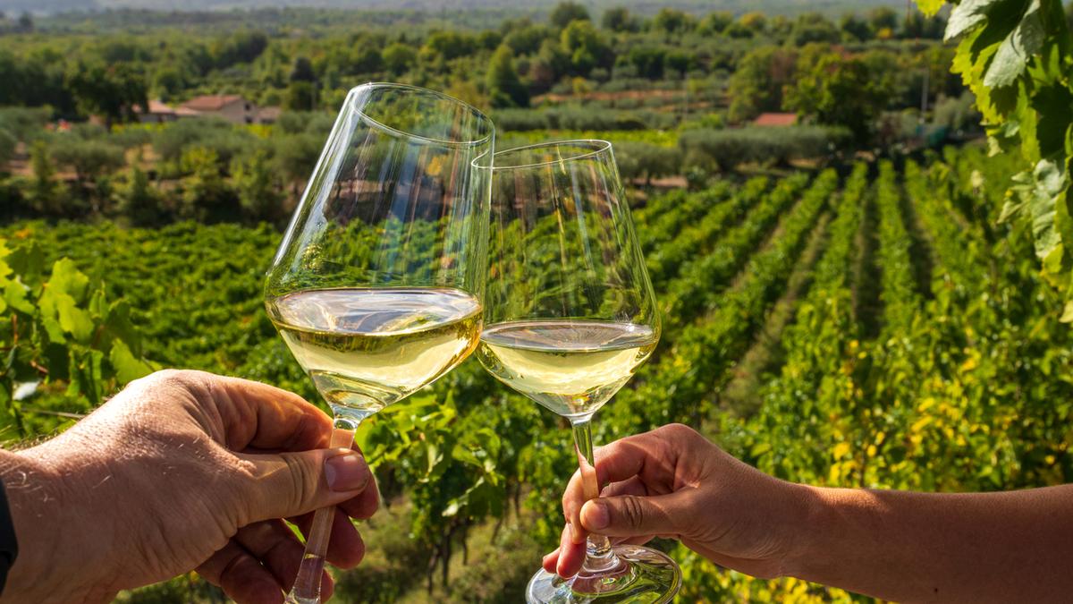 Will European wine finally get cheaper in India? Inside the EU–India trade deal