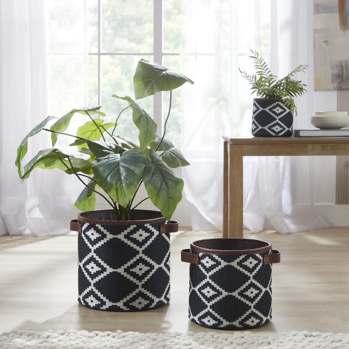 Planters at Mona B India