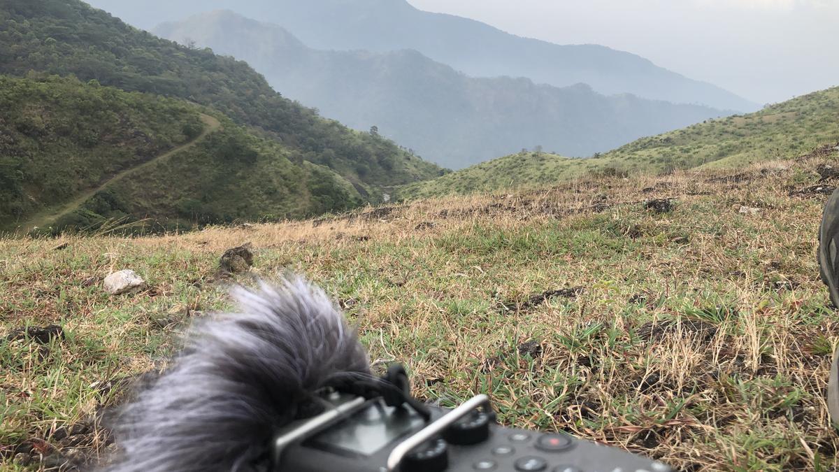 A project uses sounds from the Western Ghats to understand the changes sweeping through the landscape