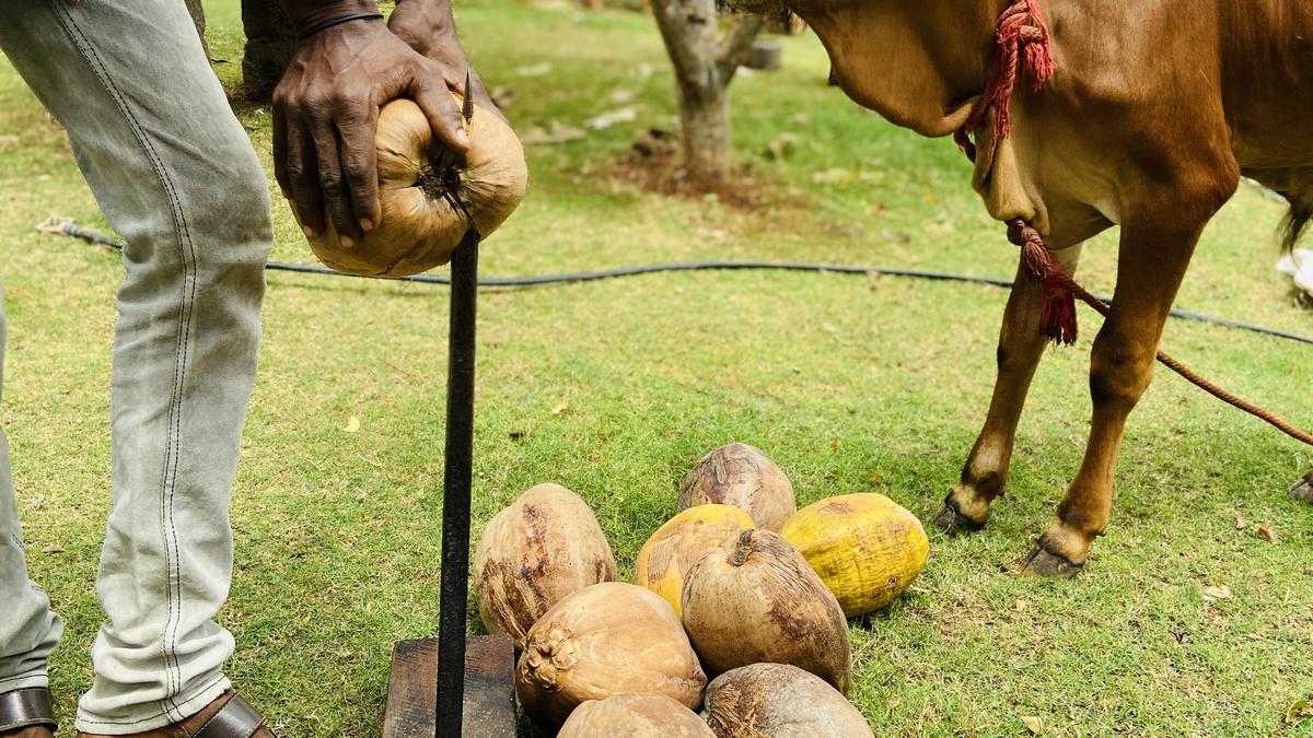 Meet three Tamil Nadu farmers retailing farm-fresh value-added products