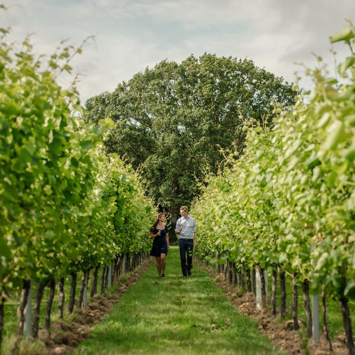 Gusbourne Estate, Ashford 