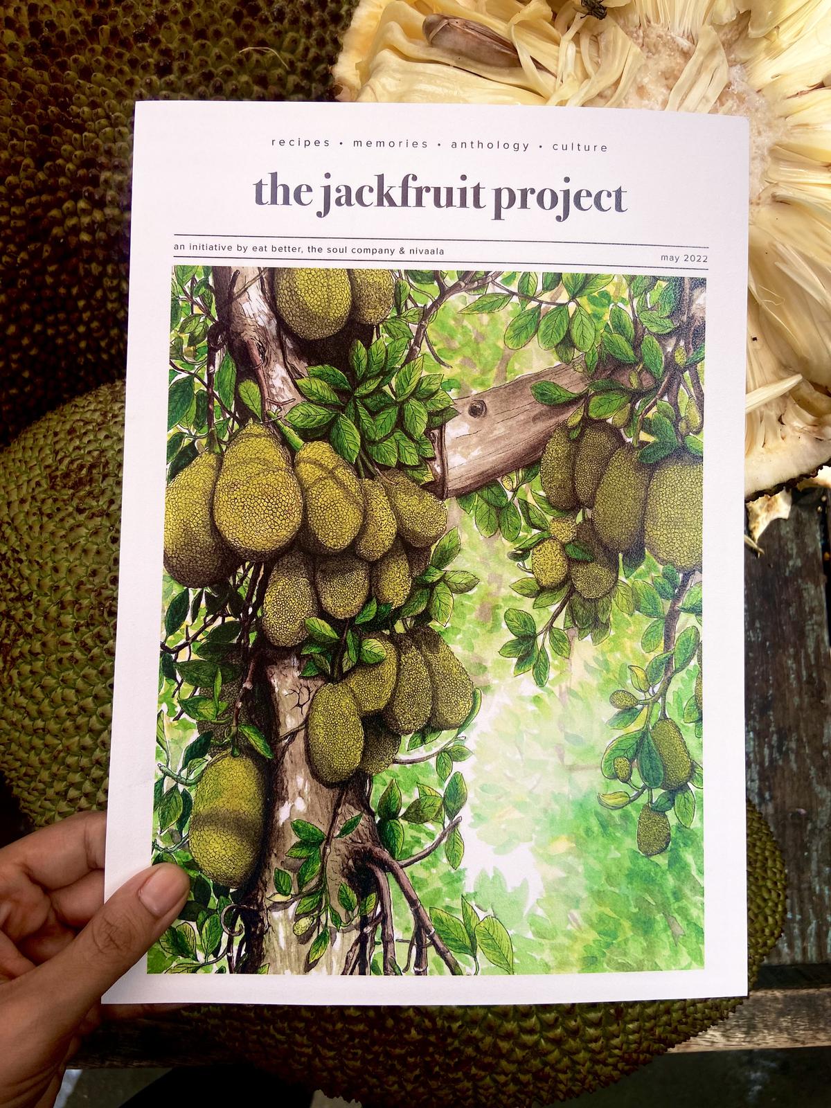 A snapshot of the jackfruit zine illustrated by Sean D'Souza