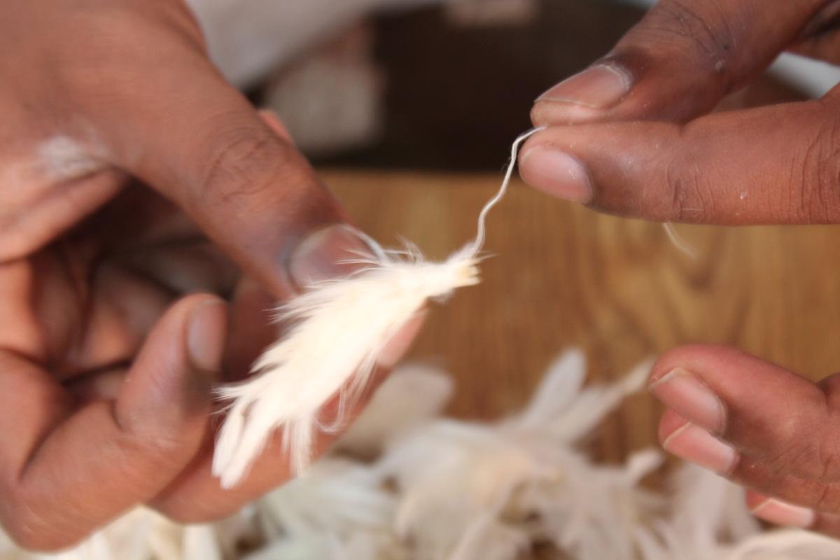 गीली कताई प्रक्रिया का एक स्नैपशॉट