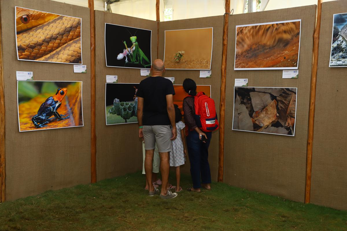 Participants at an earlier edition