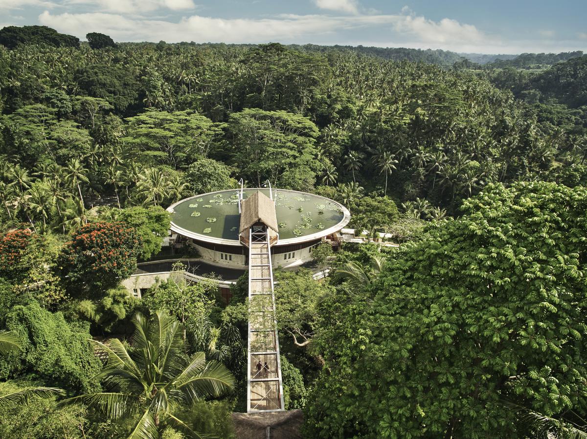 Bali beyond beaches: rituals, wellness and a more soulful way to travel