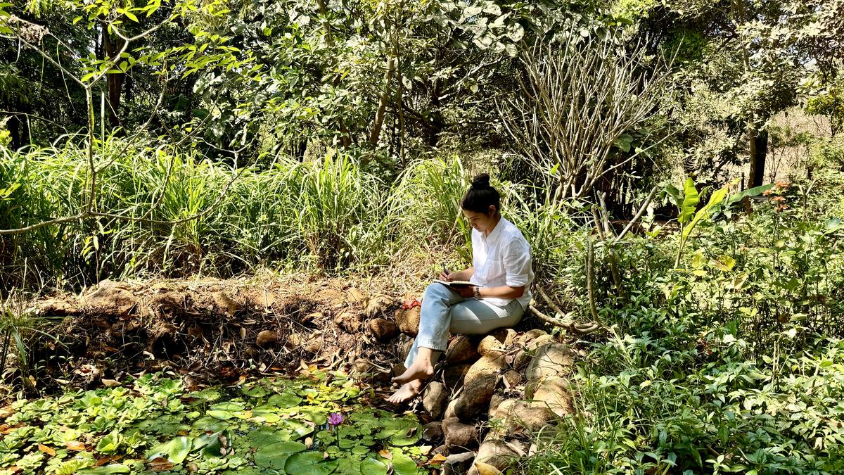 India’s best farmstays for immersive rural experiences in 2026: From forest walks to farm-to-table dining