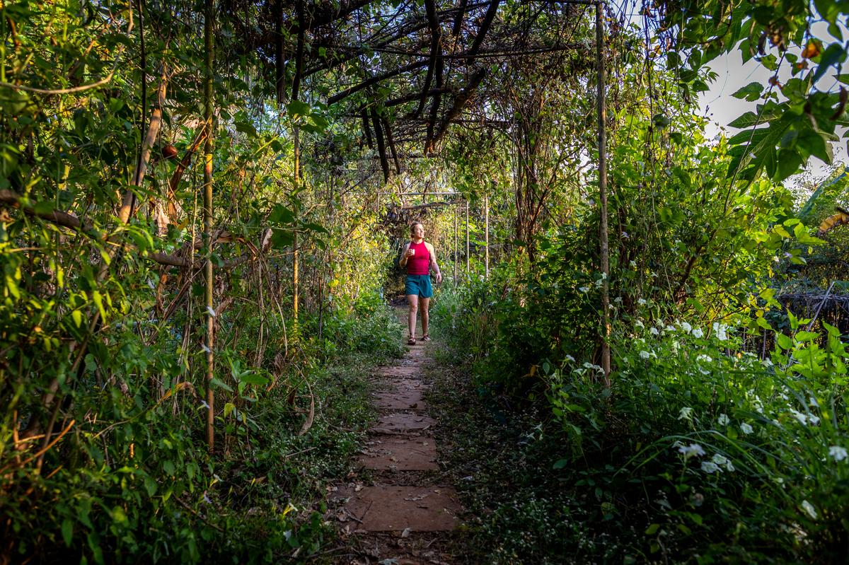 A guest at Native Place