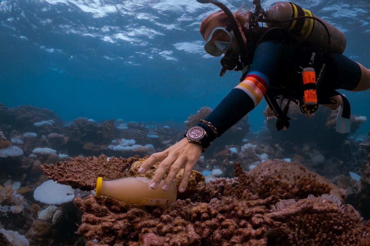 Across roughly 50 to 60 centres in Andamans, Goa, and Puducherry, operators are informally adopting similar practices like reef safe diving