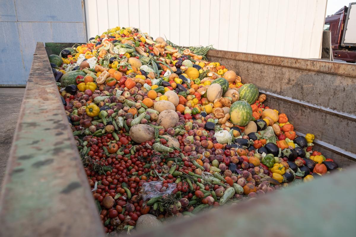 Expired vegetables and fruits in a bin
