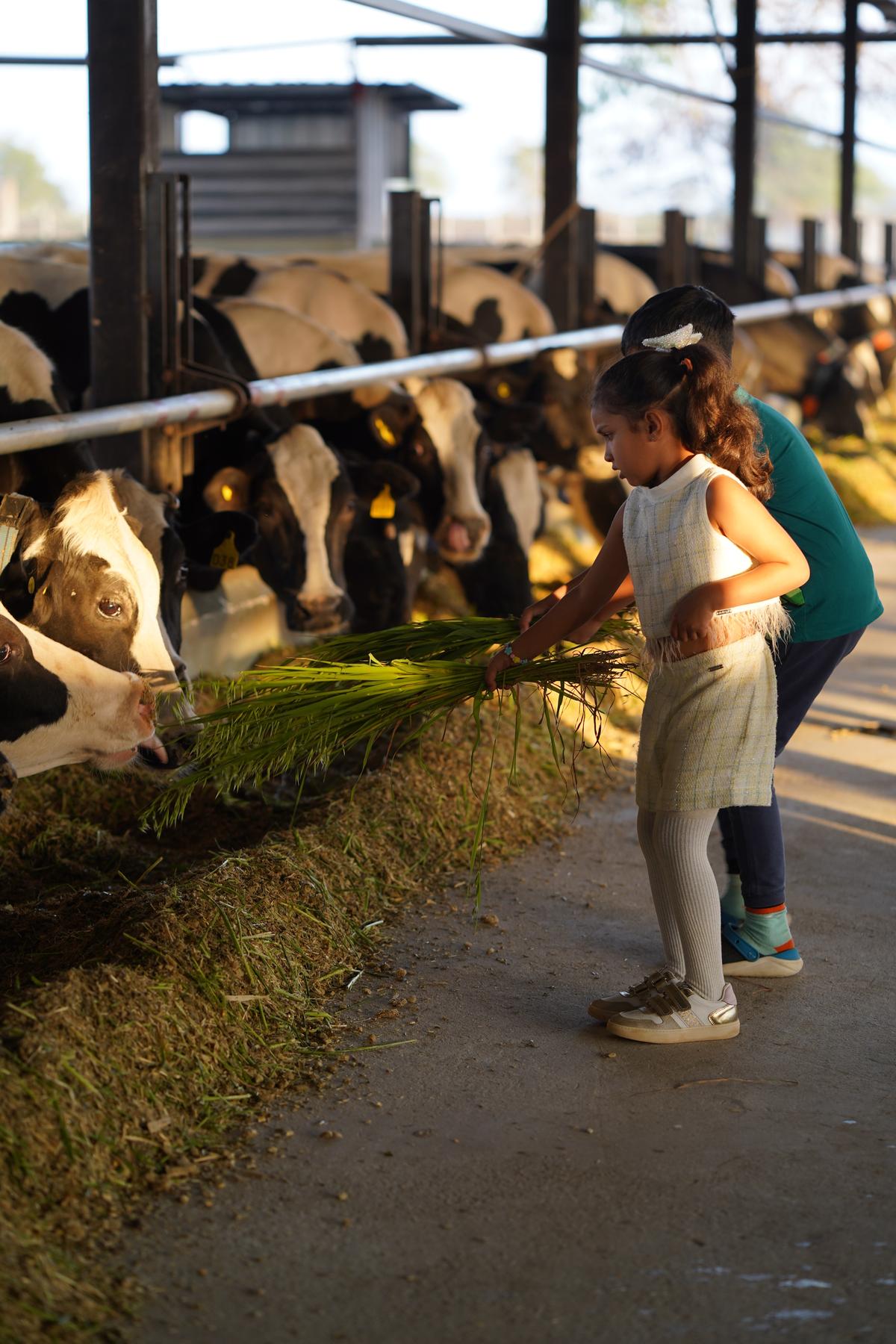 Children at Sangam Farms