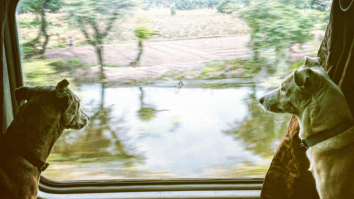 A new book chronicles the travels of three adopted Indies on Indian trains