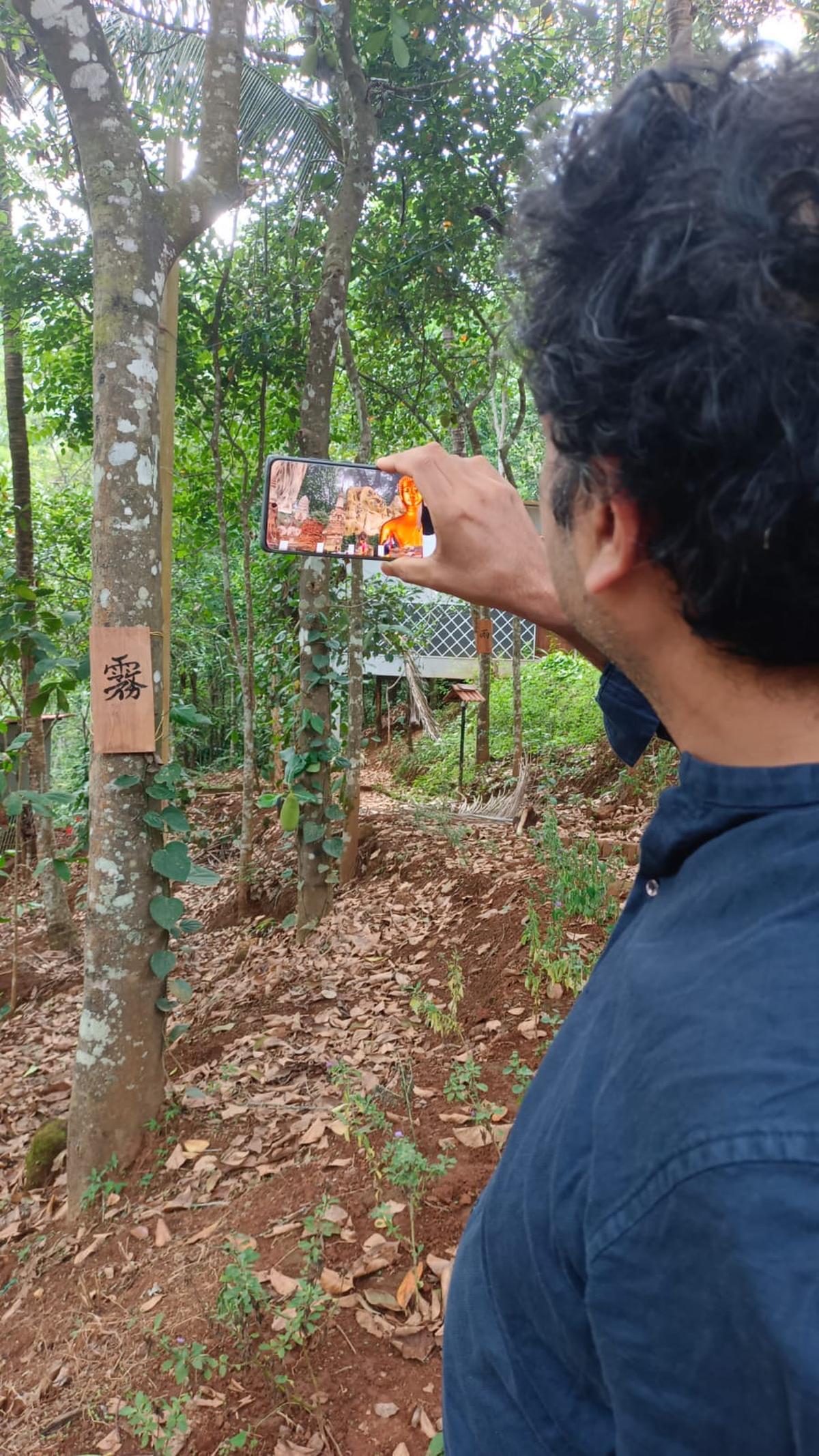 A view of The Gratitude Forest A view of The Gratitude Forest