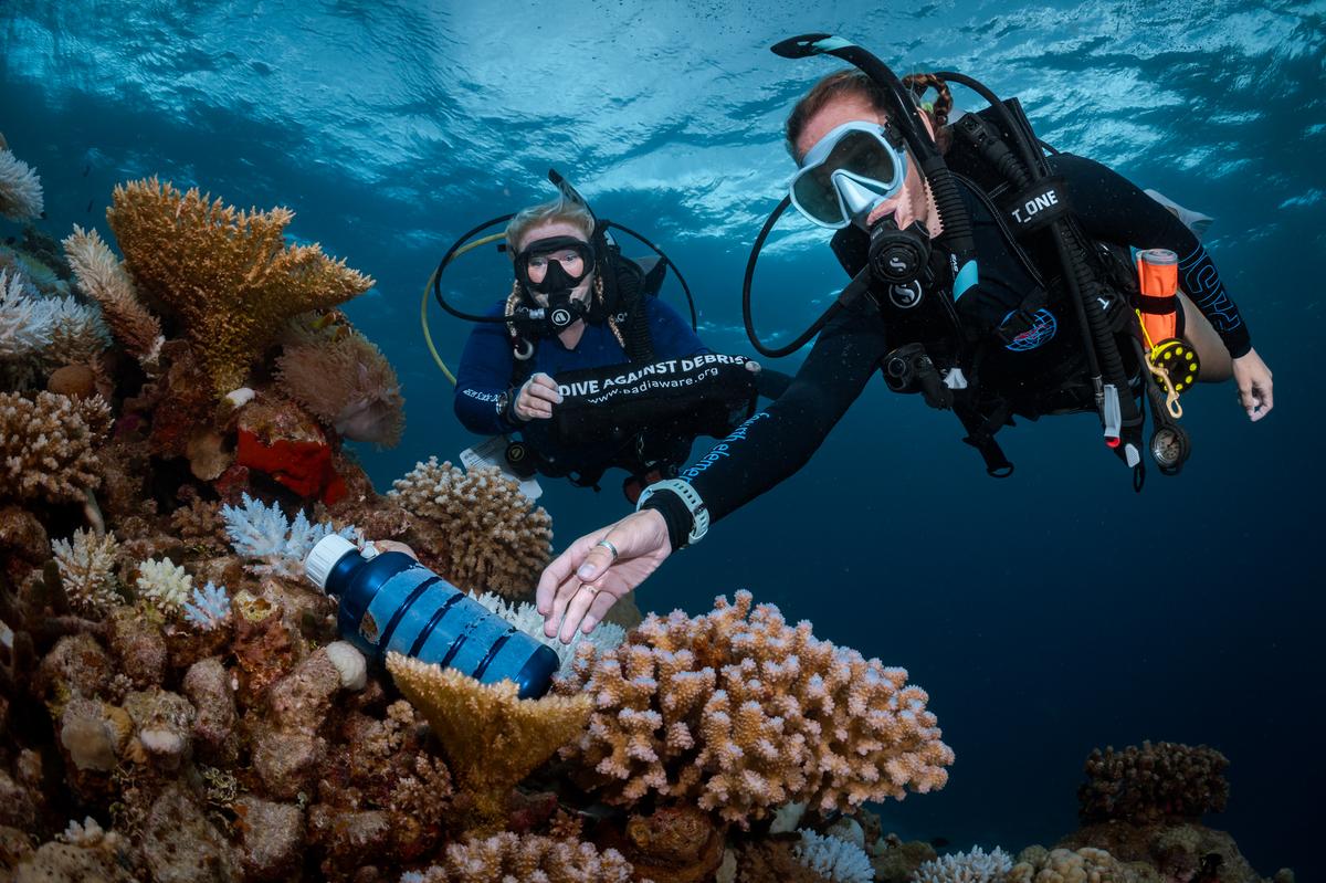 Divers are now asking different questions about reef safety, community work, and sustainability practices