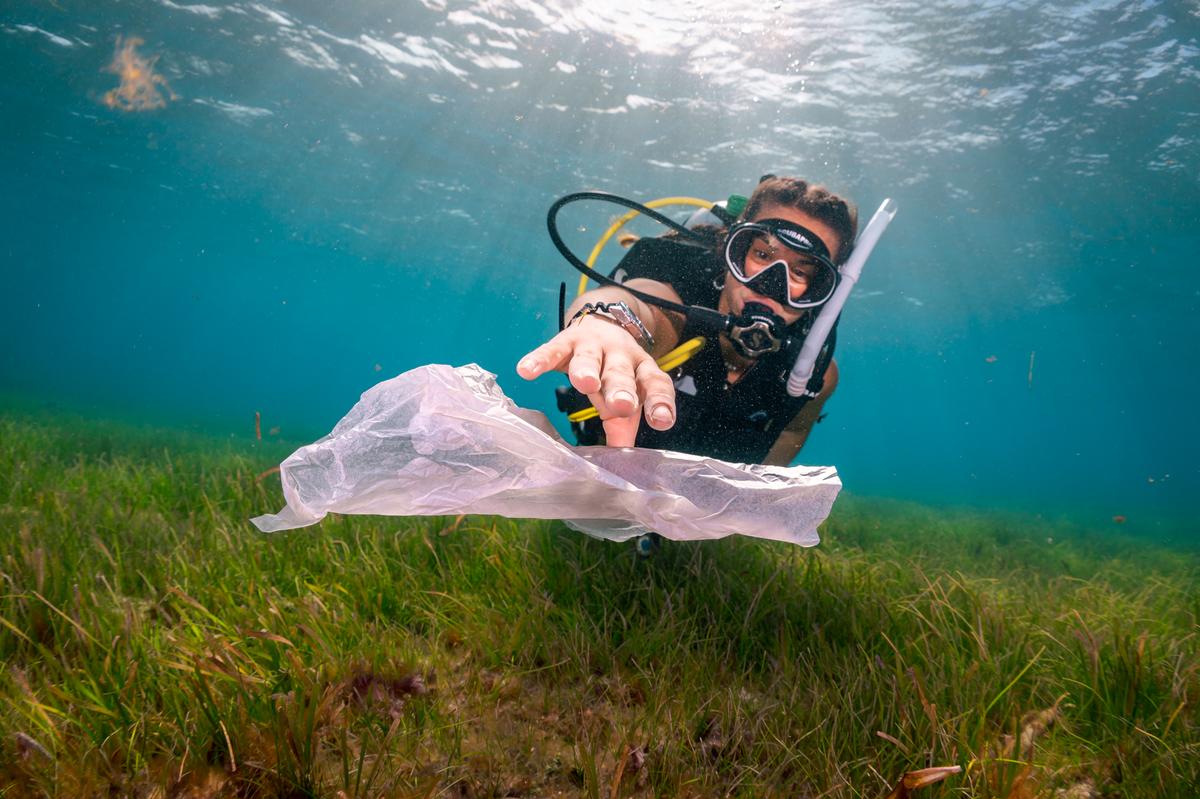 A diver clearing plastic from the sea