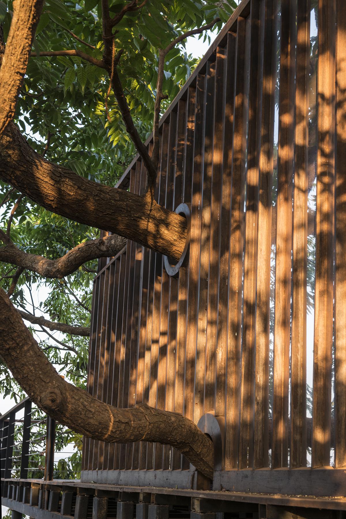 A large stilted deck wraps around Tala Treesort and culminates on a viewing platform.