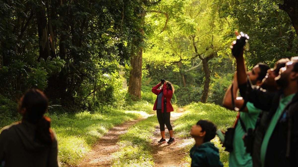 Take a slow holiday this New Year with Nature trails and village stays