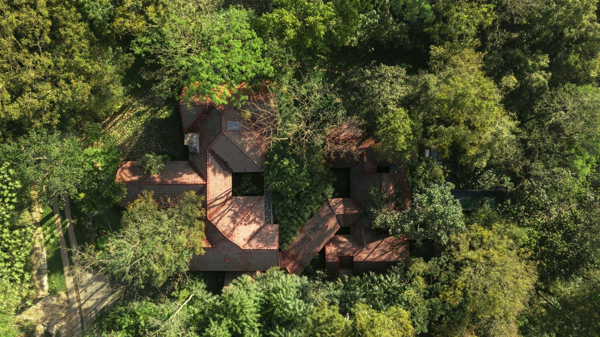 Indian homes and resorts built around trees