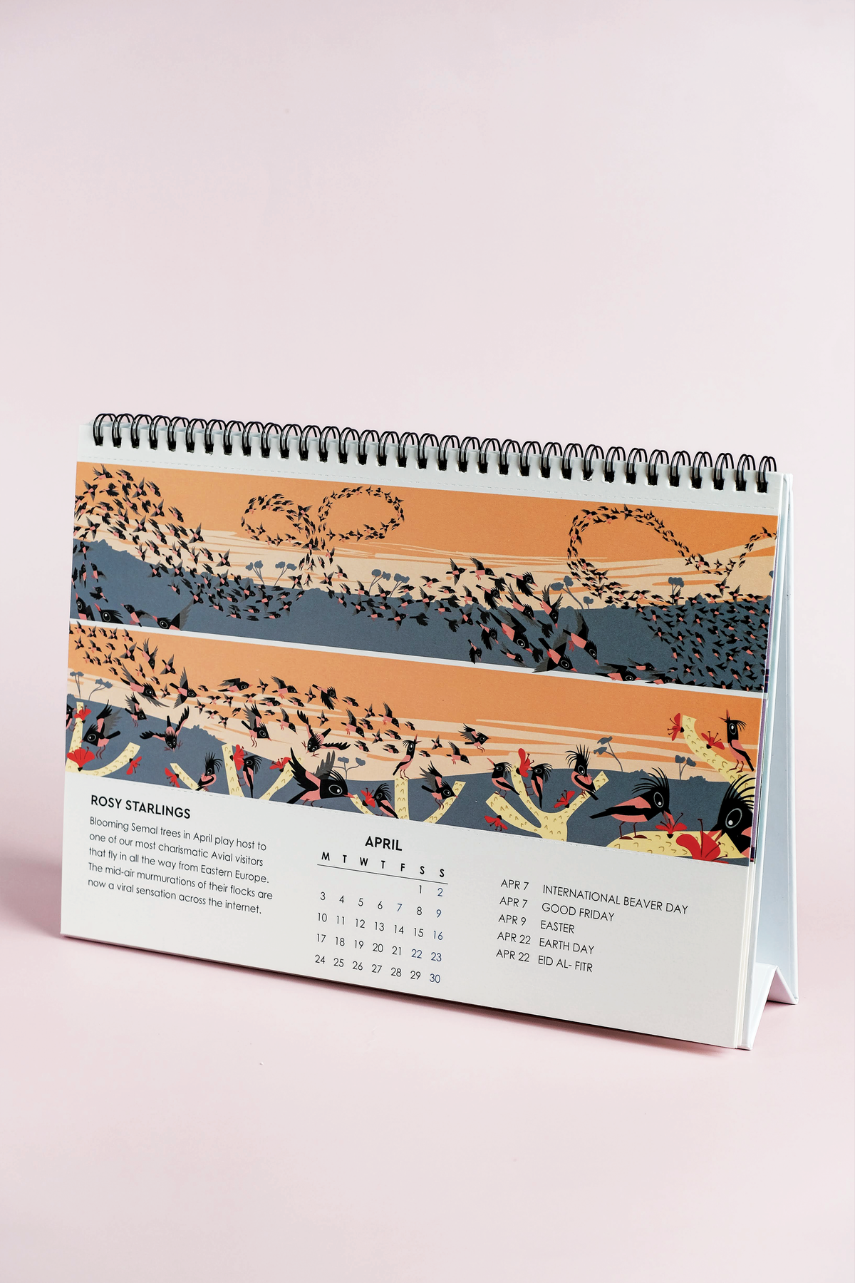 The Bird of the Month calendar by Rohan Chakravarty