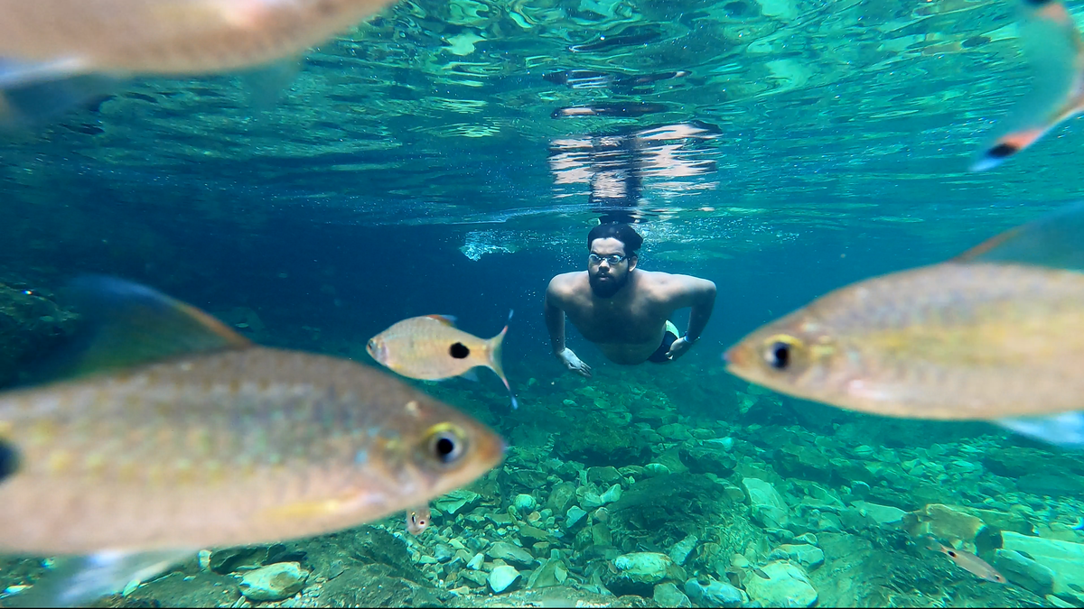 Watch | Want to learn how to swim in the sea? Chennai’s open water swimming instructors answer