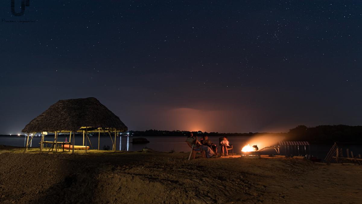 Watch the highly anticipated Perseid meteor shower in Tamil Nadu while listening to a concert