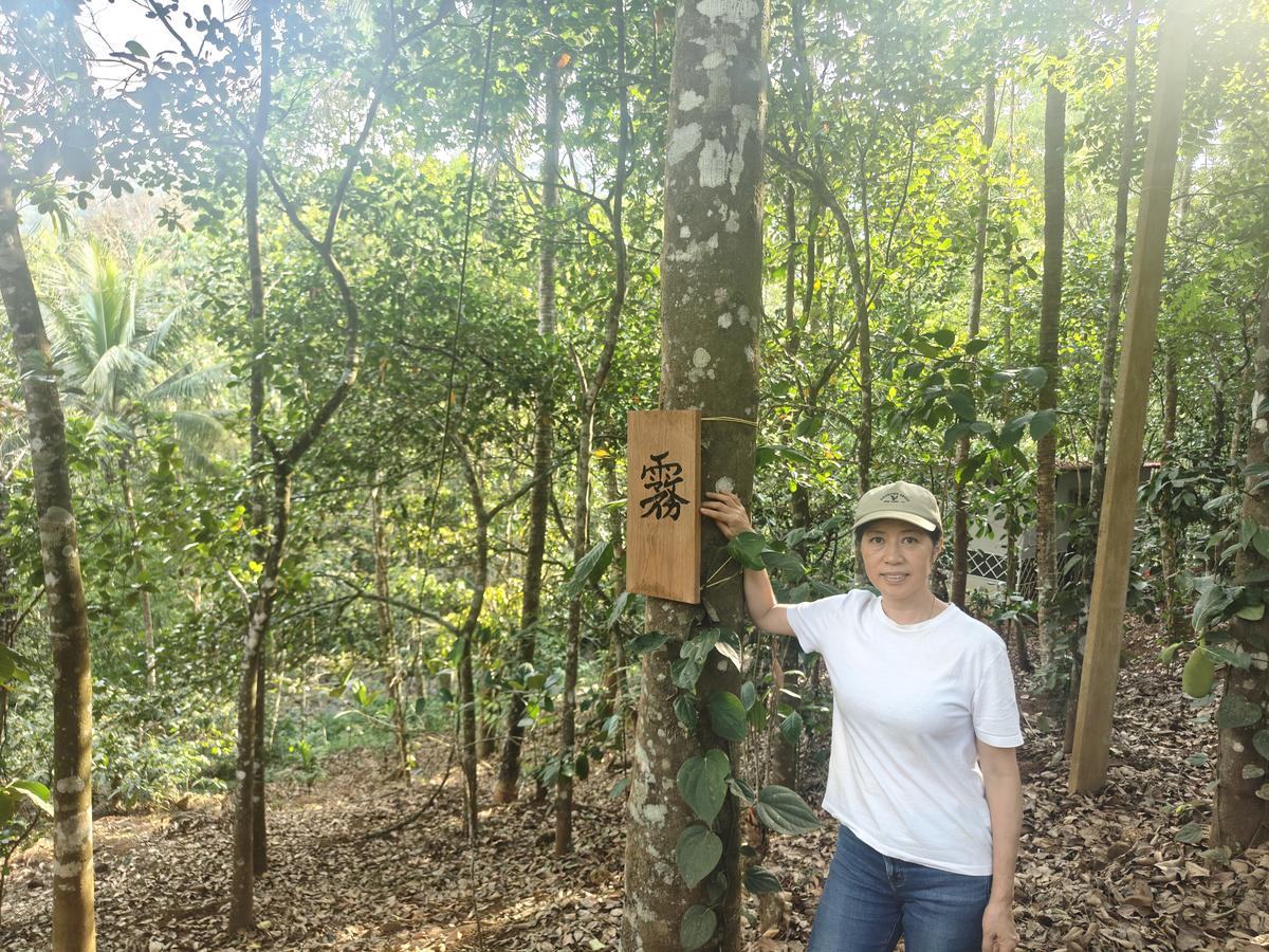 Yuka Yokozawa Yuka Yokozawa