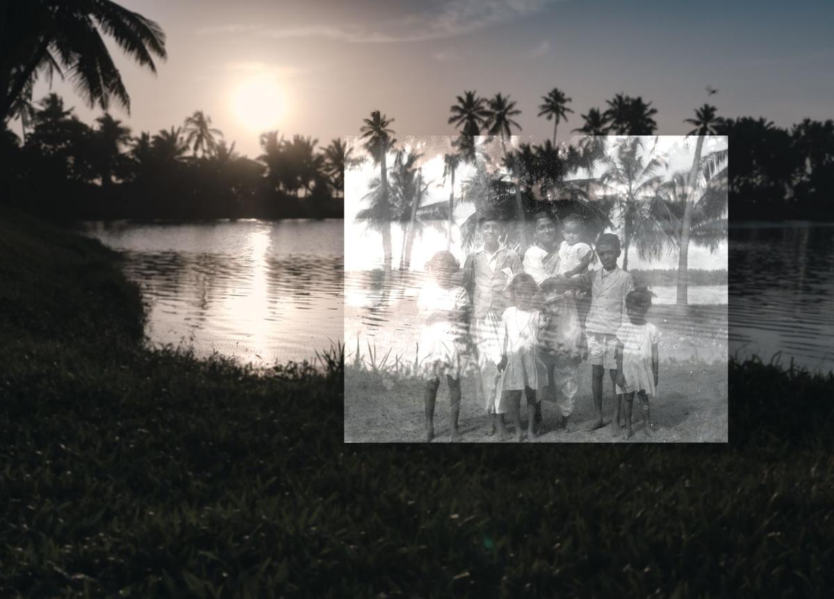 lilies in tomorrow's garden lilies in tomorrow's garden