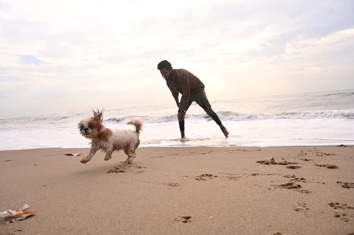A man chases his dog at the beach in Chennai.